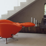 dodo_gallery01