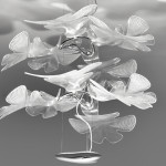 chlorophilia_gallery3381314-960x540