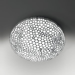 calipso_gallery4465907-960x540